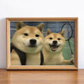 Framed Photo - Dogs and Cats - Hanging out with friends
