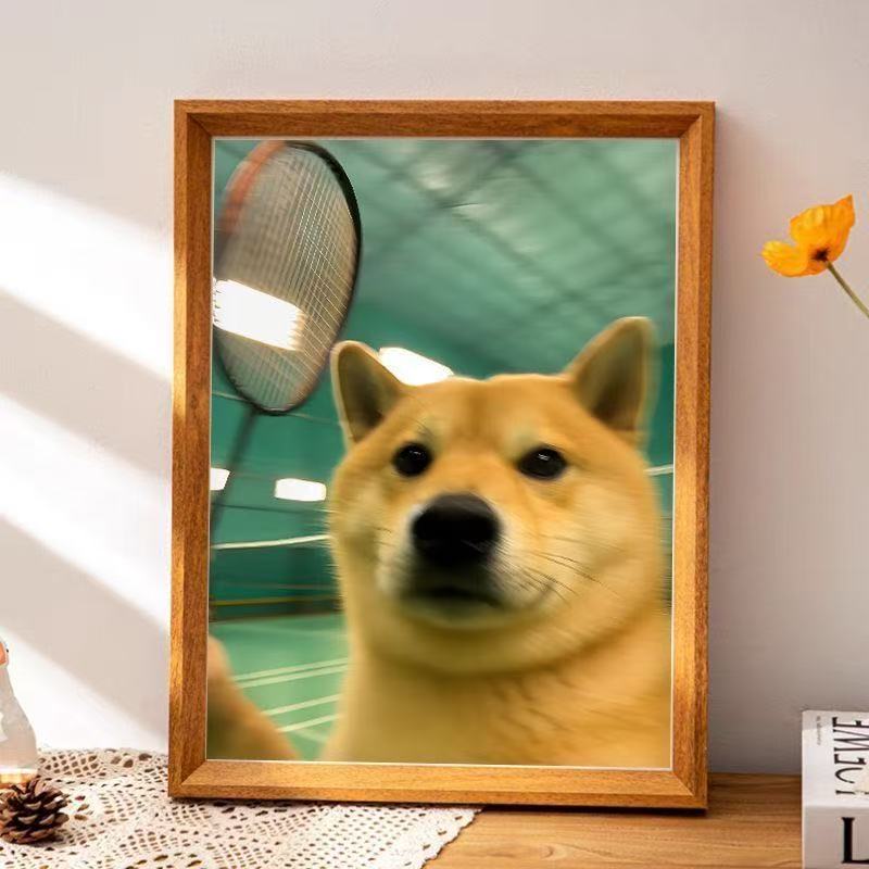 Framed Photo - Dogs and Cats - Waiting for you